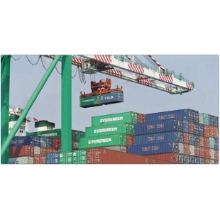 1756170942895.jpg 1756170942895.jpg