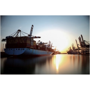 1759221849669.jpg 1759221849669.jpg